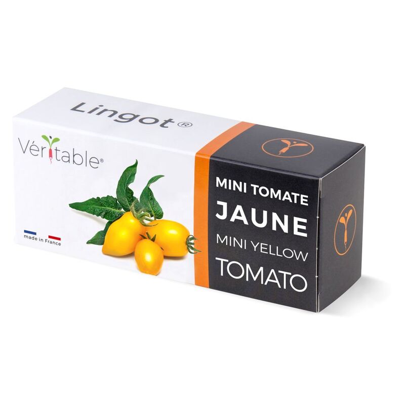 Veritable Lingot® Yellow Mini-Tomato Veritable Lingot® Yellow Mini-Tomato