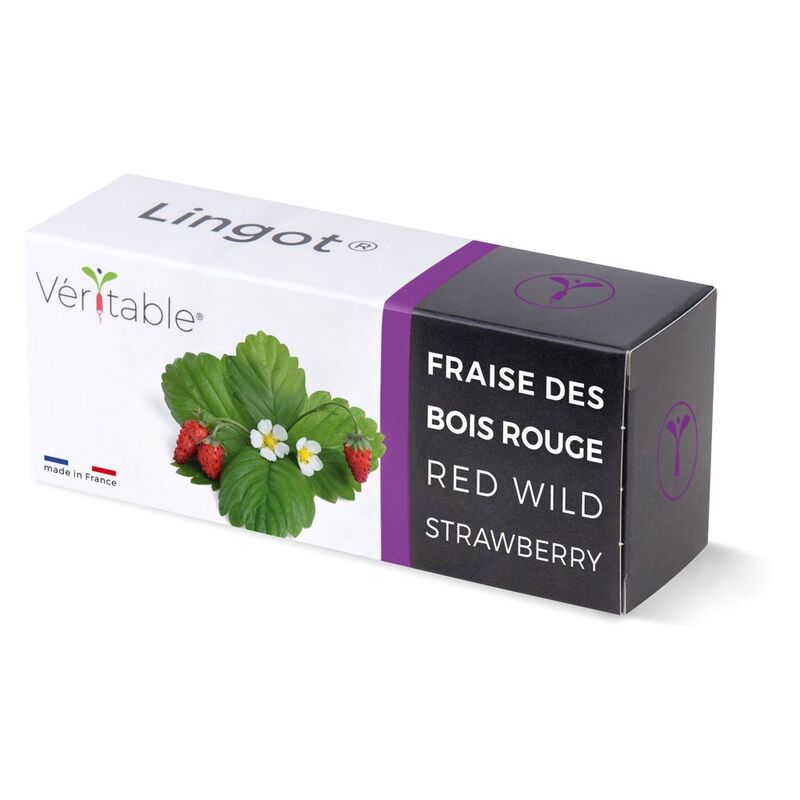 Veritable Lingot® Wild Red Strawberry Veritable Lingot® Wild Red Strawberry