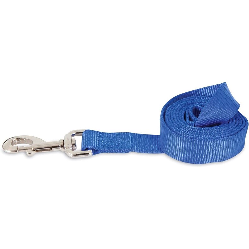 Aspen Pet 0327852 Pet Supplies Dog Leashes - Leads