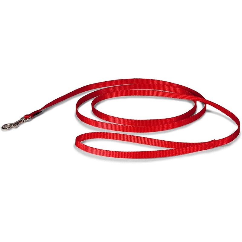 Aspen Pet 15056 Nylon Pet Leash - 5/8-Inch 6-Feet - Red