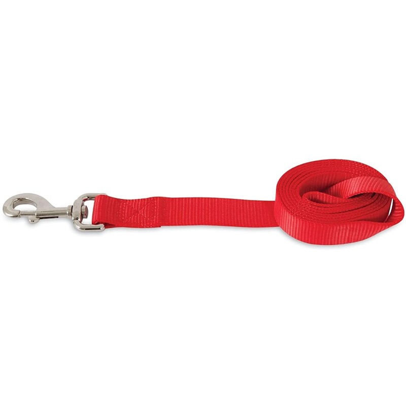 Aspen Pet Lead - 1" x 5' - Red