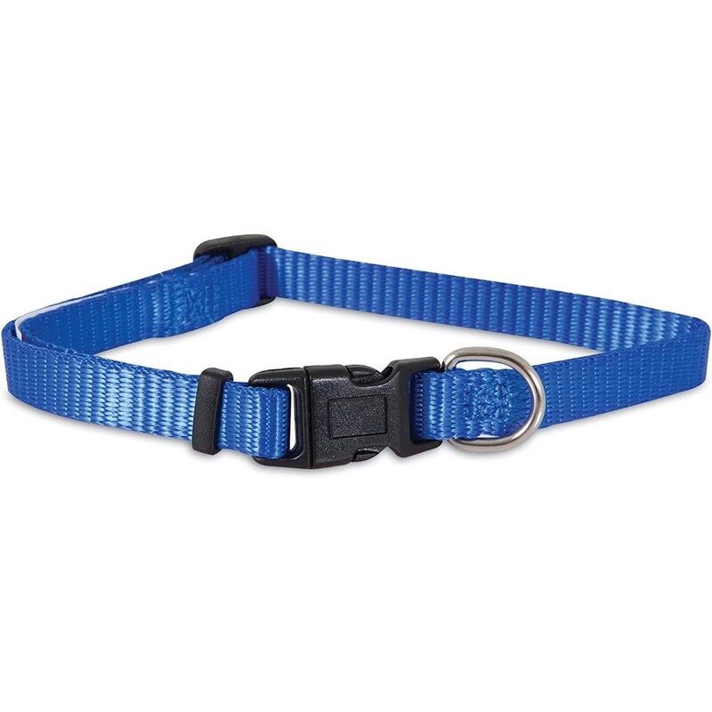 Aspen Pet Nylon Adjustable Collar - Blue - 20-30" x 1.5" Aspen Pet Nylon Adjustable Collar - Blue - 20-30" x 1.5"
