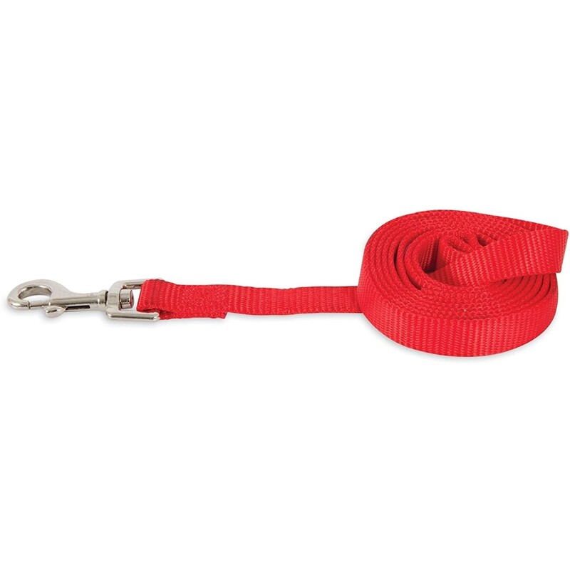Aspen Pet Nylon Lead - Red - 3/8" x 5' Aspen Pet Nylon Lead - Red - 3/8" x 5'
