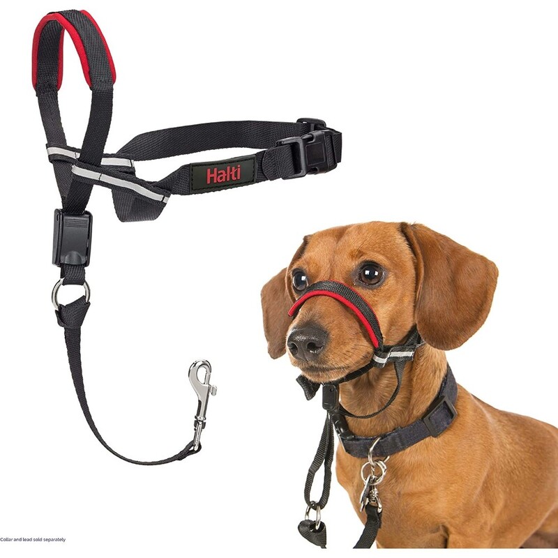 Company of Animals Halti Ho01 Halti Optifit Head Collar Small