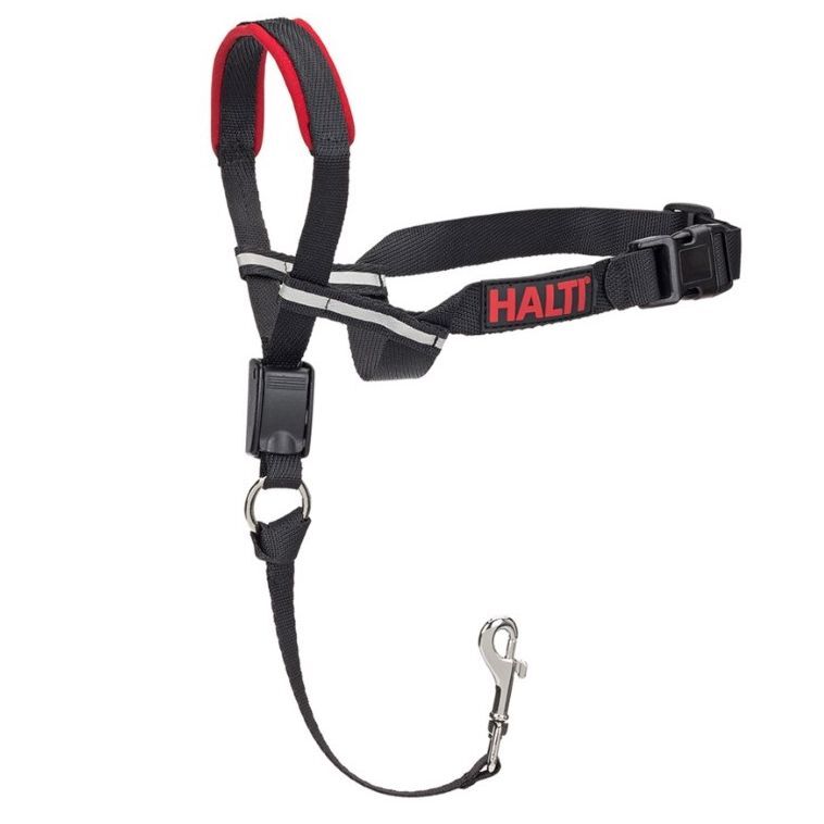 Company of Animals Halti Ho03 Halti Optifit Head Collar Large Company of Animals Halti Ho03 Halti Optifit Head Collar Large