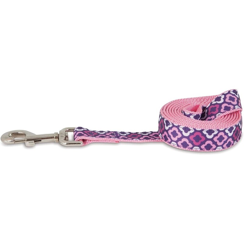 Petmate Aspen Pet Dog Leash 1"X6' Purple Geo Petmate Aspen Pet Dog Leash 1"X6' Purple Geo