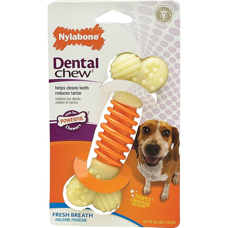 Nylabone Dental Pro Action Chew Bacon Medium Nylabone Dental Pro Action Chew Bacon Medium
