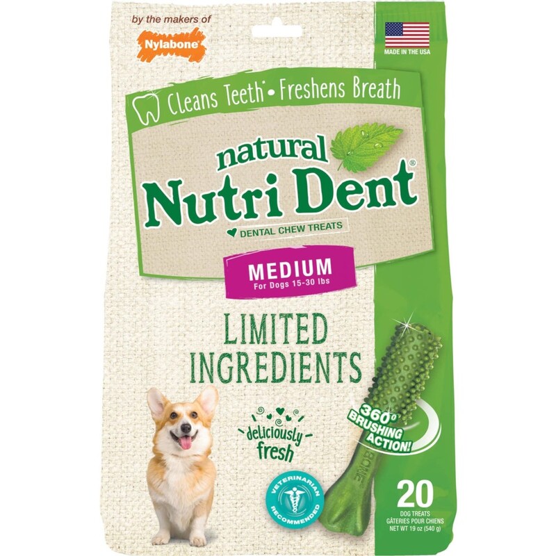 Nylabone Nutri Dent Fresh Breath 20 Count Pouch Medium Nylabone Nutri Dent Fresh Breath 20 Count Pouch Medium