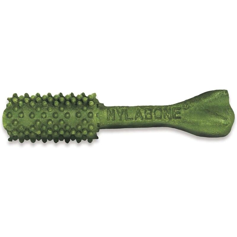 Nylabone Nutri Dent Fresh Breath Single Small