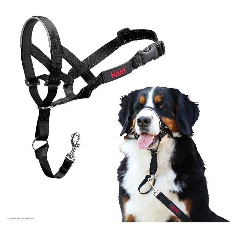 Company of Animals Hh052 Head Collar Black- Size5