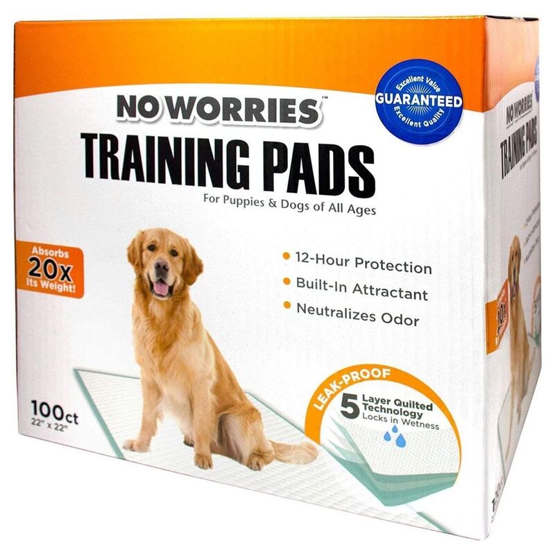 Four Paws No Worries 22 x 22 Inc Pads 1/100Ct Box