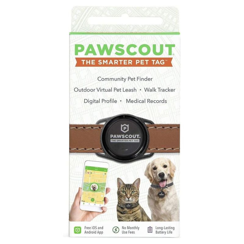 Pawscout Smarter Pet Tag Dogcat Tag Pawscout Smarter Pet Tag Dogcat Tag