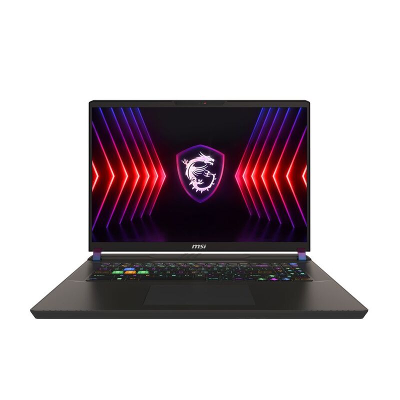 MSI Vector 17 HX A14VHG Gaming Laptop i9-14900H/32 GB/RTX 4080 12 GB/1TB SSD/17" QHD+ 240Hz/Win 11 - Cosmos Gray