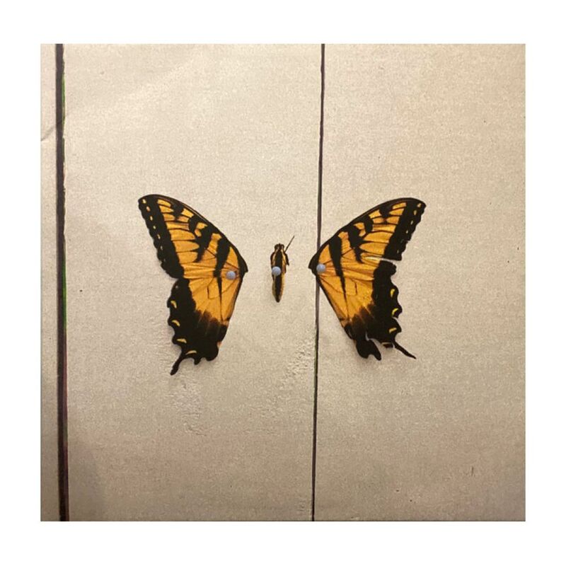 Brand New Eyes | Paramore Brand New Eyes | Paramore