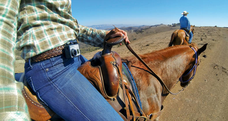 GoPro Head Strap + Quick Clip