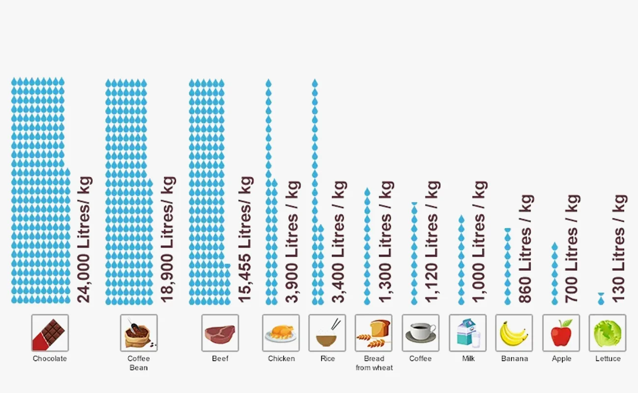 VM-Blog-Water-Footprint-3-1300x800.webp